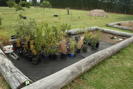 nursery_small